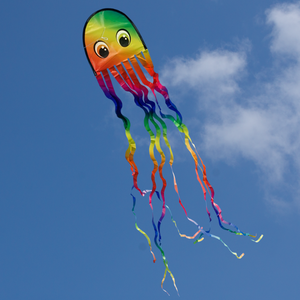 Single line for children from 3yrs ORANGE CIM Octopus kite Draki ADVANCE 